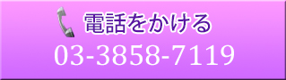 電話をかける　03-3858-7119